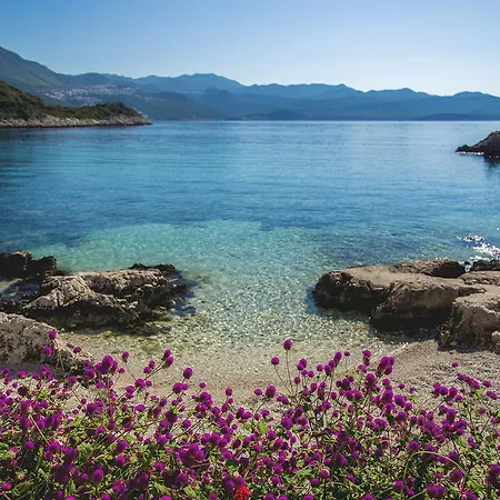 Blanca * Κας